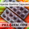 Ajantas Stamina Capsules 31